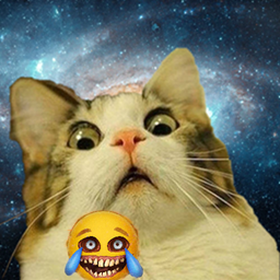 TransferedTeam-Modpack_Risas icon