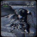 Tremendous-Tremendous_Television_2 icon