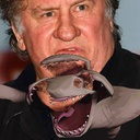 TrissTrolls-Depardieu_Thumper icon