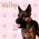 Troglody-ValkyLeChieng icon