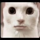 Troglodyte_Gaming-Troglodyte_Modpack icon