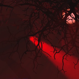 TundraAyou-ConfinedContractLogs icon