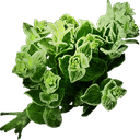 Ultimate_Gaming_Crew-oregano_music icon