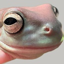 Unoffishul-UnoffishulWambleV2 icon