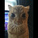 UntitledHTLSchueler-LethalDoseOfTheFunny icon