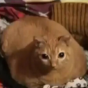 UntitledHTLSchueler-PortuMods icon