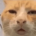 Ursling-UrslingsModpack icon