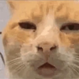 Ursling-UrslingsModpack icon