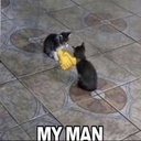 VannyPack-BCG_Tech_Tips icon