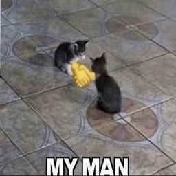 VannyPack-BCG_Tech_Tips icon