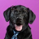 Vekknar-Labraheim icon