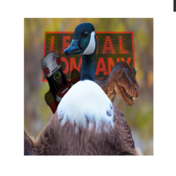 Vellyteam-VellyPack icon