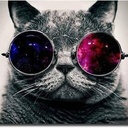 ViAndDo-LethalRPG icon