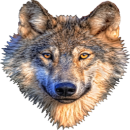 Vidar-Vapanbratova_Server_Pack icon