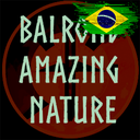 Vikings_BR-balrond_amazing_nature_PTBR icon