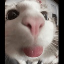 Voids-Cecilian_Modpack icon