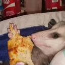 VolsteadandCO-Pierres_Compendium_Modpack icon