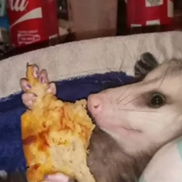 VolsteadandCO-Pierres_Compendium_Modpack icon