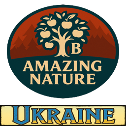 VoronUA-balrond_amazing_nature_UA icon