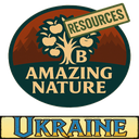 VoronUA-balrond_amazing_nature_resource_UA icon