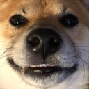 Vulf-RandomInterior icon