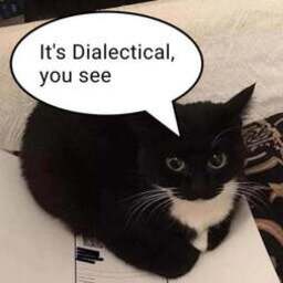 WIPLive-Wiplive icon