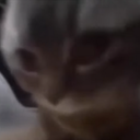 WaFtAk-ChupiDropship icon