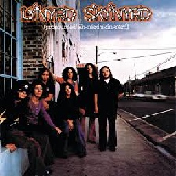 Wallet-FreeBirdFinalExtraction icon