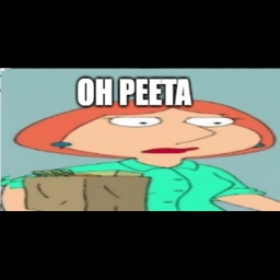 WeLoveFG-GBImmersionPack icon