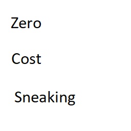 We_Haul-Zero_Cost_Sneaking icon