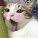 WharDarFark-BingonightModpack icon