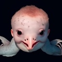 WikingFriends-ModpackForFriends icon