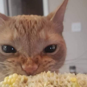 Winter_Season-Winters_Modpack icon