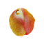 X_OWT-PeachProjectiles-1.0.0 icon
