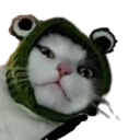 XaphsGoons-HavenPack icon