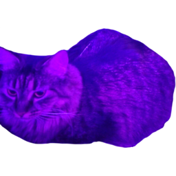 XatroGames-BeansCompany icon