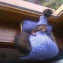 XeirelDev-XeiCompany icon