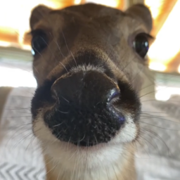 XkrakenX40-KrakenModPack icon