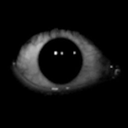 Xrayplace-bob icon