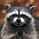 YUNGMUNYCLAN-YUNGMUNYMODS icon