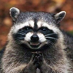 YUNGMUNYCLAN-YUNGMUNYMODS icon