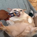 Yakooo-Chud_Gooners icon