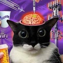 Yakooo-phone_ringersforgooners icon