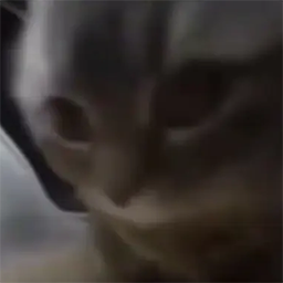 YayItsThunder-ChipichipiTruck icon