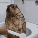 Yec1-YeciCompany icon