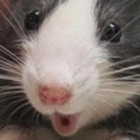 Yepp-Yep_a_Modpack icon