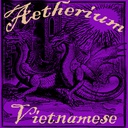 Ylinhtran-Aetherium_VietHoa icon