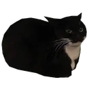 YoYo-funny_modpack icon