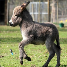 Yoast-Yoasty_Mods icon