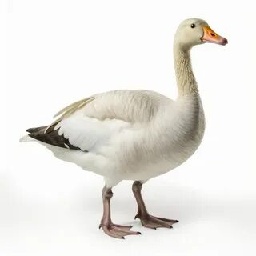 Yrlou-GoosePlush icon